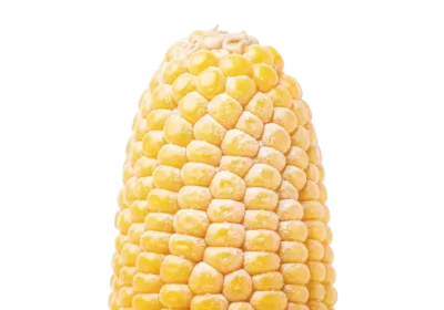 Imagen PNG para descargar